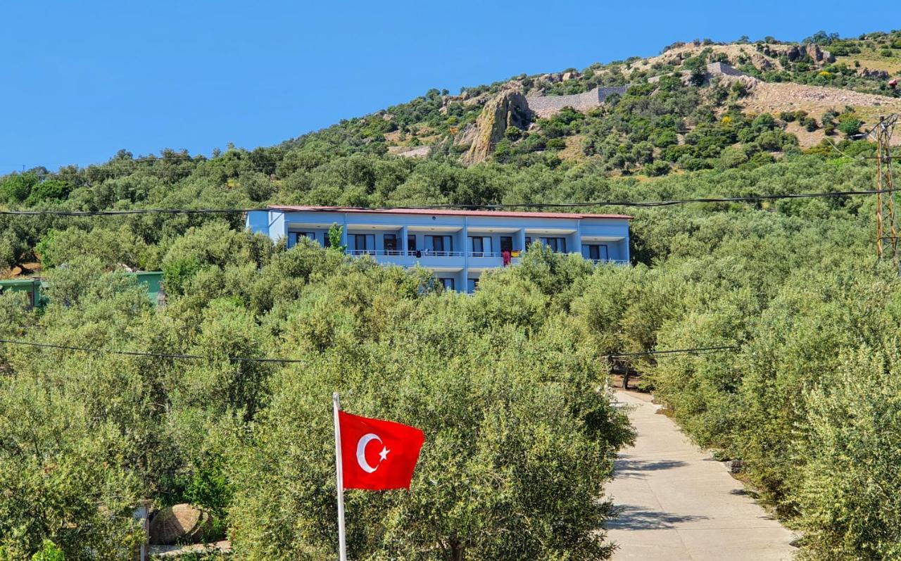 Assos Nazan Motel Restoran Beach Sokakagzi Exteriör bild