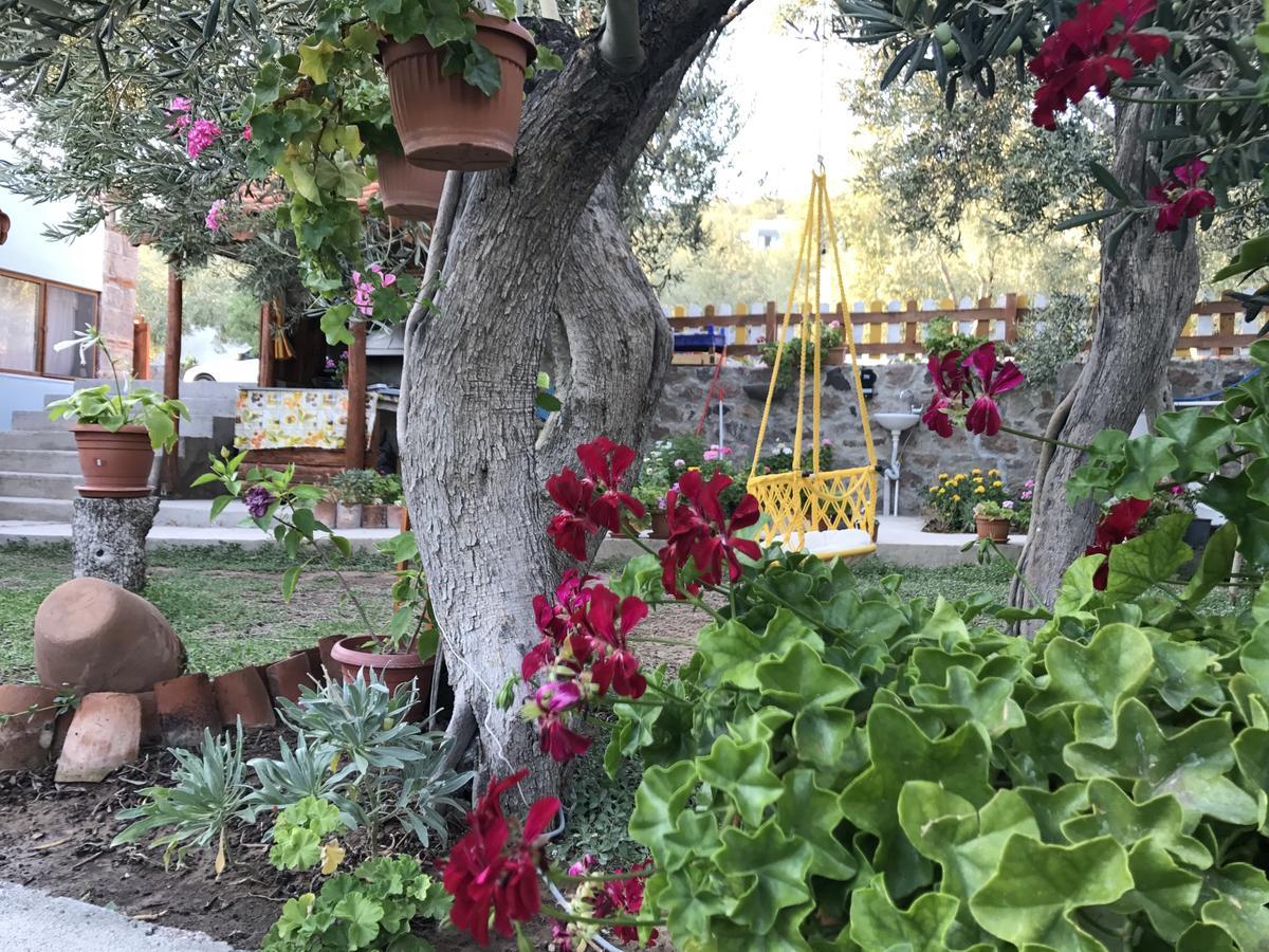 Assos Nazan Motel Restoran Beach Sokakagzi Exteriör bild