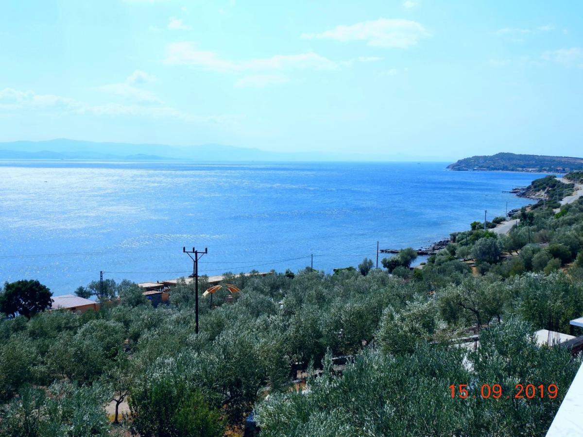 Assos Nazan Motel Restoran Beach Sokakagzi Exteriör bild